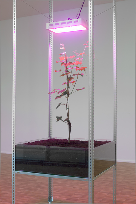 Leon Kahane "For Official Use Only", Installationsansicht: Galerie für Zeitgenössische Kunst Leipzig, 2016 © Wenzel Staehlin Leon Kahane "For Official Use Only", Installationsansicht: Galerie für Zeitgenössische Kunst Leipzig, 2016 © Wenzel Staehlin